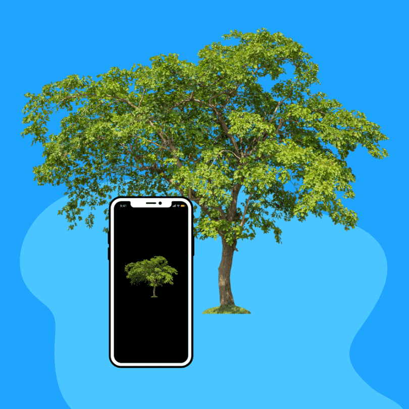 Printed photo of bag being tossed into the sky on top of grass.